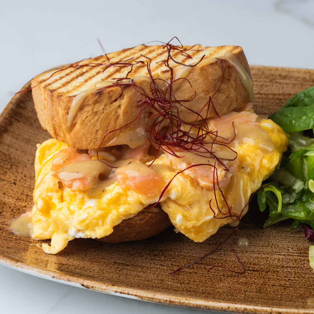 Salmon